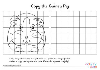 Guinea Pig Puzzles