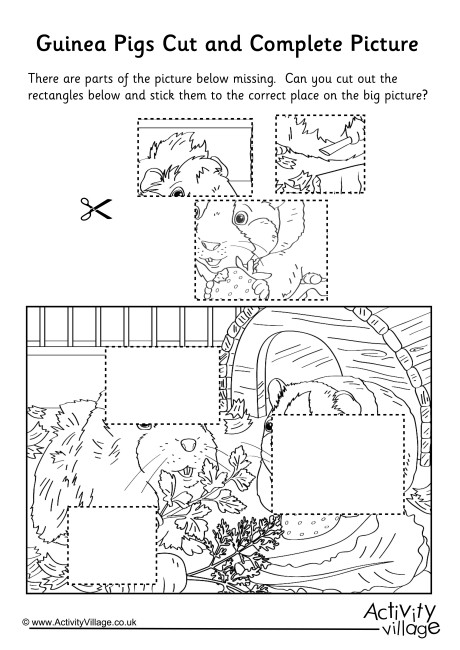 Guinea Pigs Cut And Complete The Picture