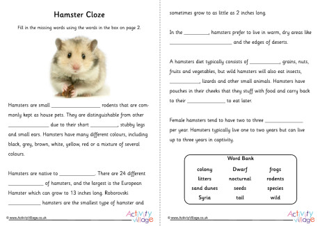 Hamster Cloze