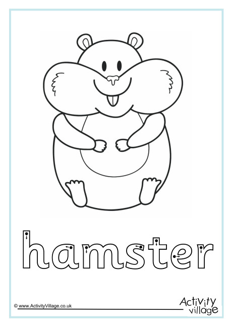 Hamster Finger Tracing