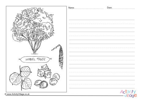 Hazel Tree Story Paper