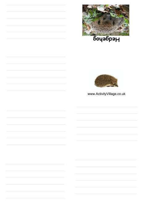 Hedgehog booklet