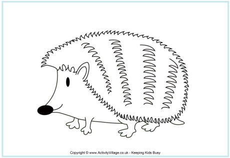 Hedgehog colouring page
