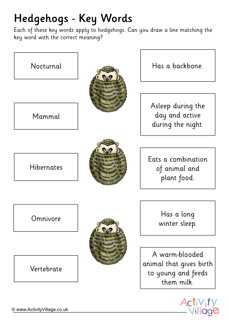 Hedgehog key words