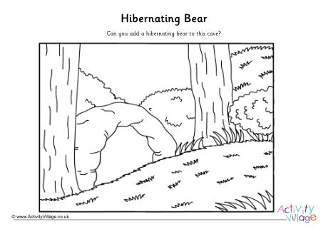 Hibernating bear drawing activity