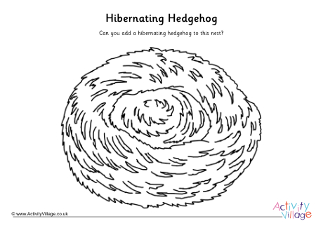 Hibernating hedgehog drawing activity