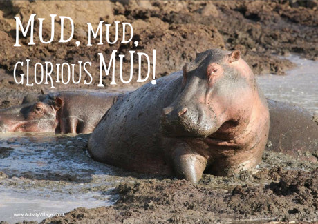 Hippos glorious mud poster Hippos glorious mud poster