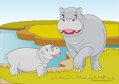 Hippos Scene Poster