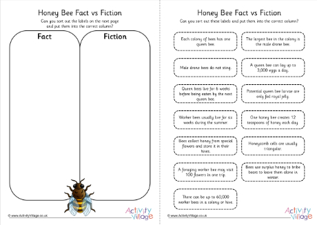 Honey bee fact vs fiction