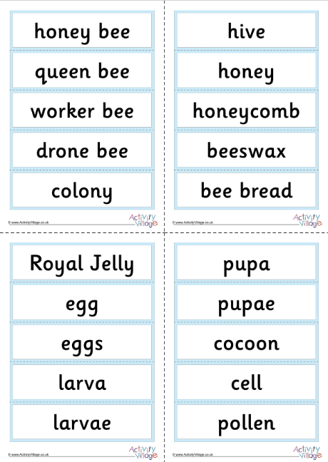 Honey bee word cards