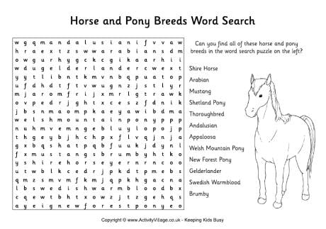 Horse and pony breeds word search