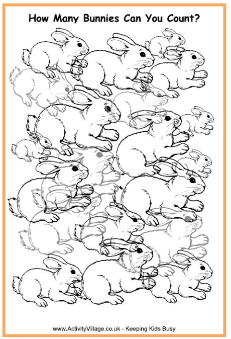 How many bunnies can you count