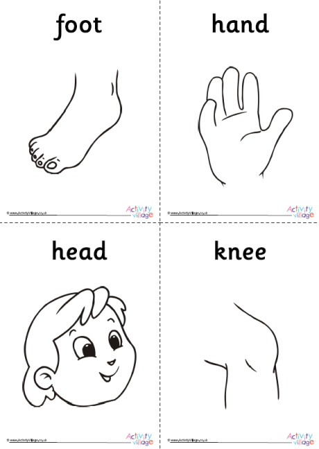 Human Body Colouring Pages Set