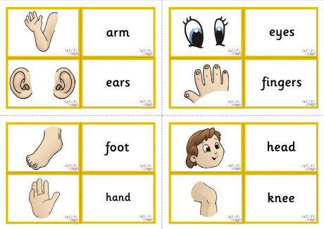 Human Body Vocabulary Matching Cards