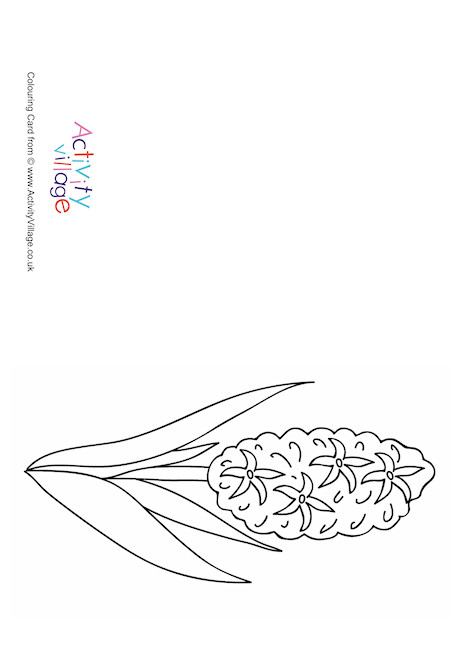 Hyacinth Colouring Card