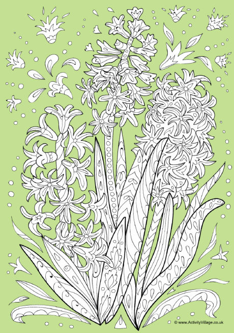 Hyacinth doodle colour pop colouring page