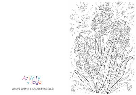 Hyacinth doodle colouring card