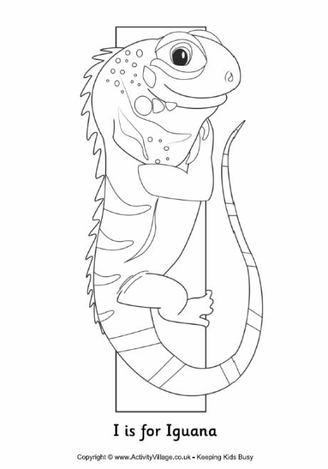 Download I is for Iguana Colouring Page