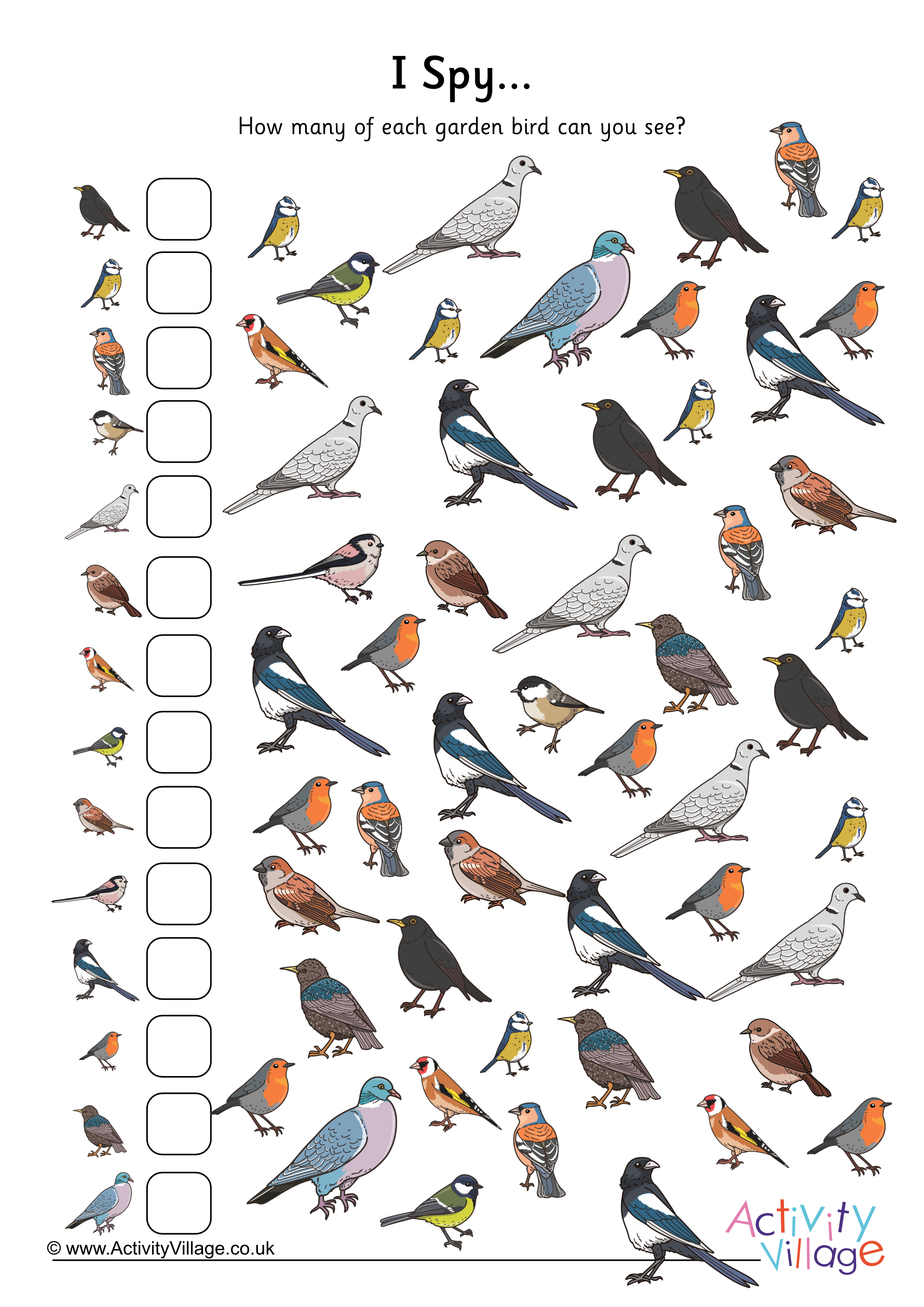 I Spy Garden Bird Counting