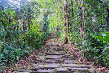 Just some of the 1200 stone steps to the Lost City