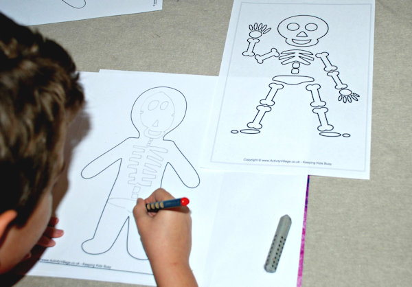 Drawing a skeleton inside the person template