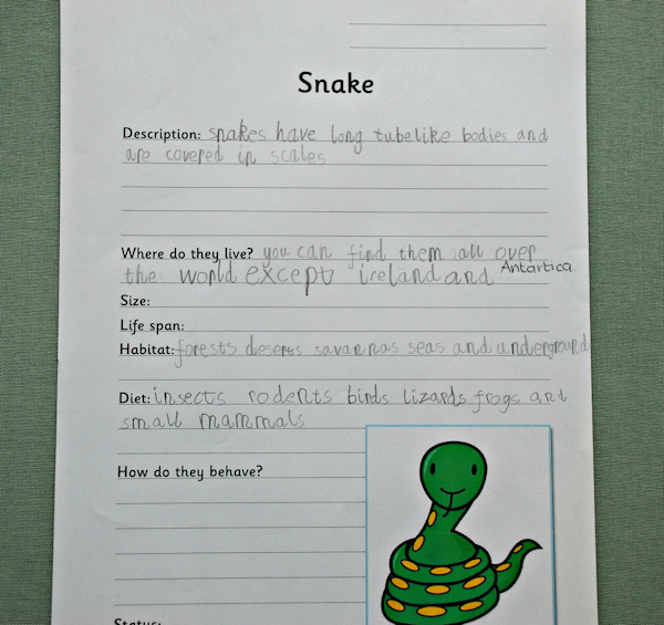Snake fact finding page