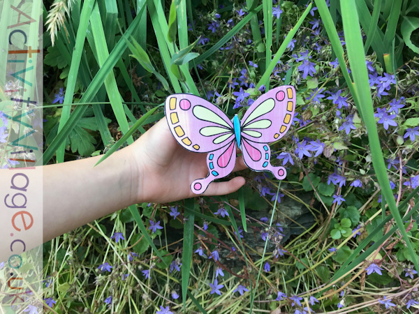 A beautiful butterfly in the garden