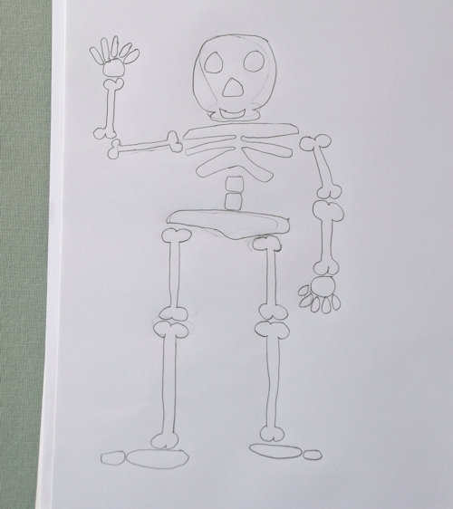 Drawing a skeleton without the template as guidance