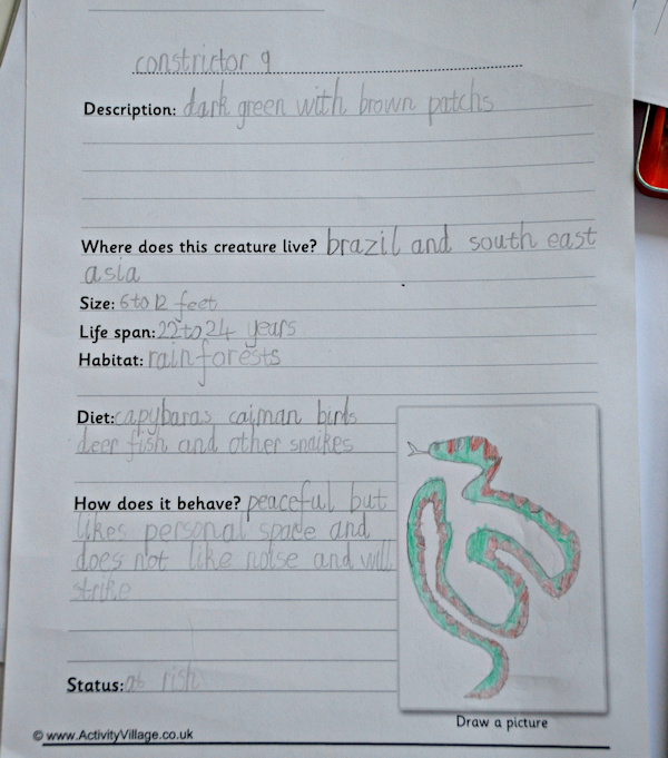 Using the animal fact finding worksheets to create his own snake