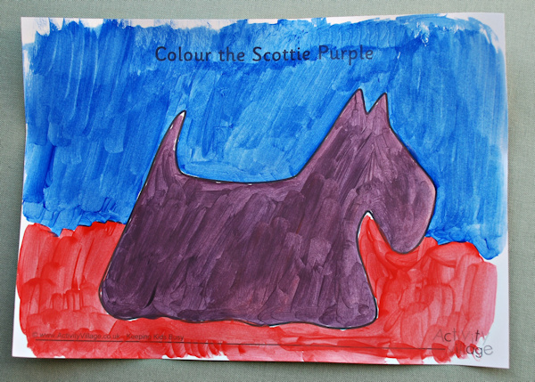 Colour mixing purple Scottie