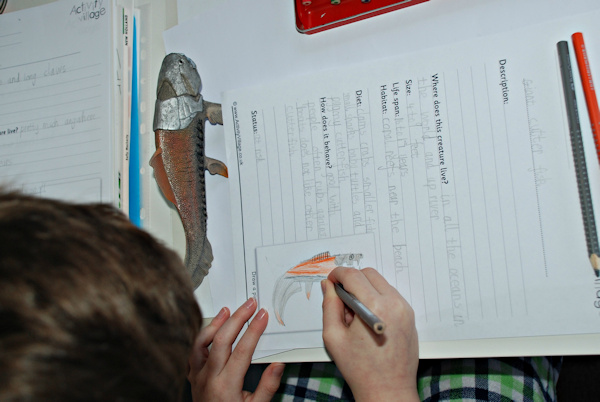 Creating and drawing his own creature