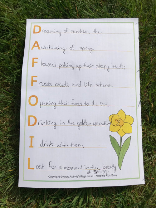 My daffodil acrostic poem