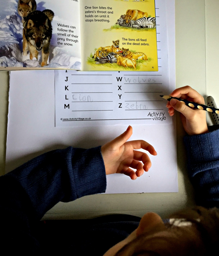 Using books to help find words for the Alphabet Challenge activities