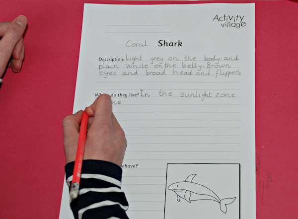 Creating their own animals - a coral shark