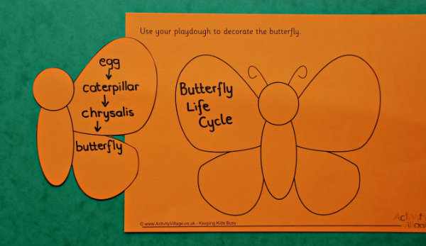 Writing key words on the cover of our butterfly booklet