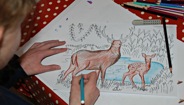 Shading her deer scene colouring page