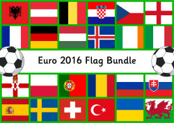 Time-Saving Euro 2016 Flag Bundle