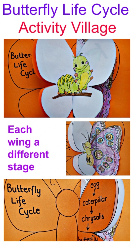 Butterfly life cycle activity booklet from Activity Village