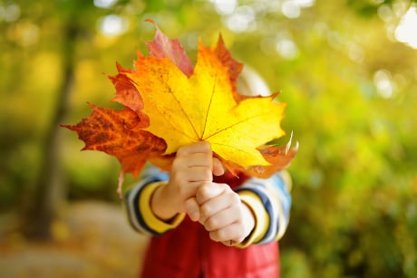 Autumn fun at Activity Village!