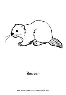 Beaver colouring page