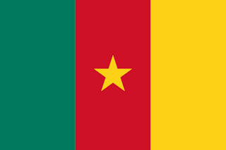 Cameroon flag