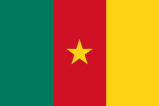 Cameroon flag printable