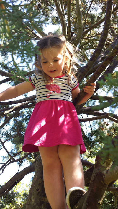 Climbing a tree