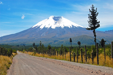 Cotapaxi volcano, Andes, Ecuador