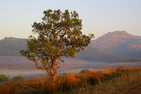 Dawn view, Swaziland