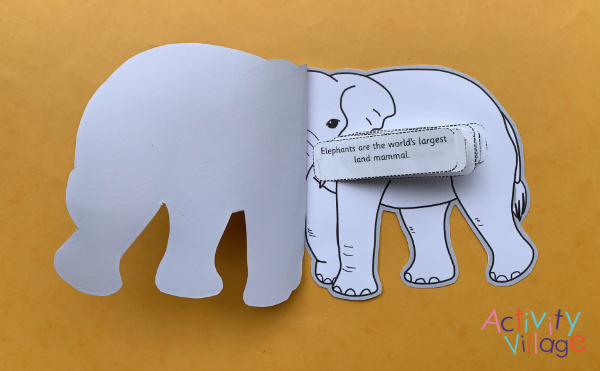 ... with all our elephant facts inside!