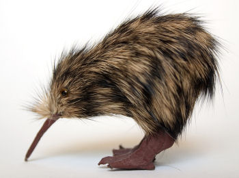 kiwis