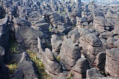 Mount Roraima, in Guyana