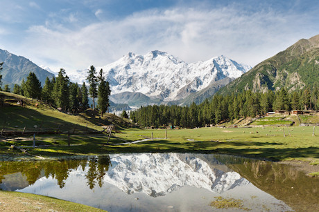 Nanga Parbat, Himalayas, reflected in a pond at Fairy Meadows, Pakistan