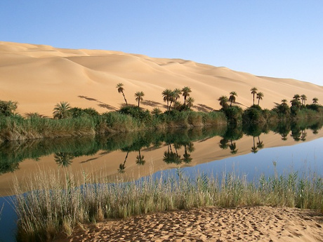 Oasis in the desert, Libya